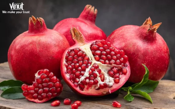 VINUT_Pomegranate Fruit
