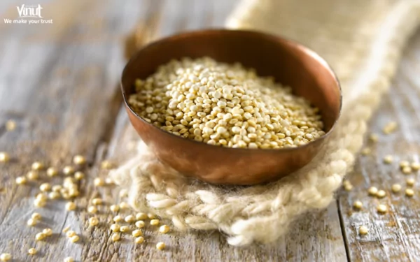 VINUT_Quinoa