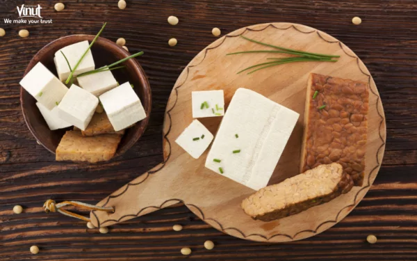 VINUT_Tofu and Tempeh