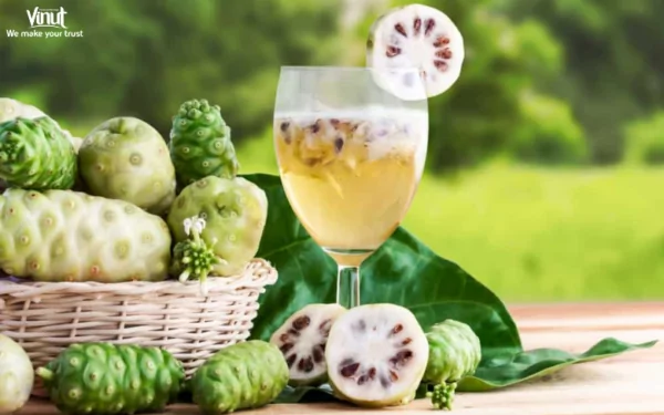 VINUT_How to Incorporate Noni Juice into Your Routine?