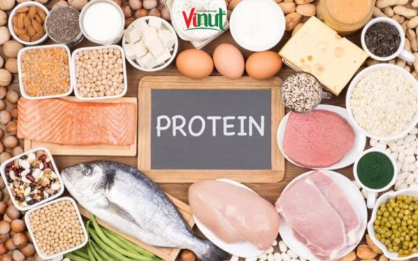 VINUT_High-Quality Protein