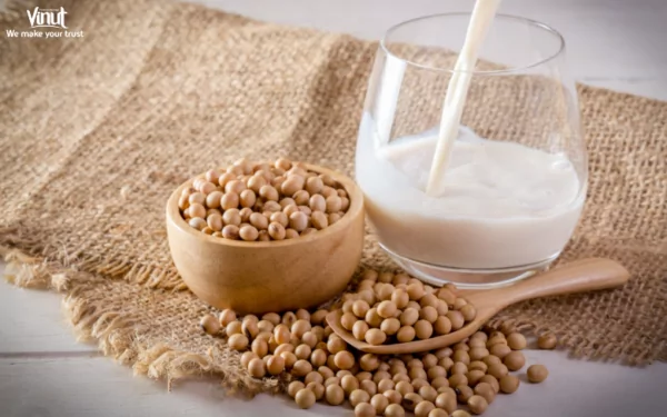 VINUT_ Soy Milk