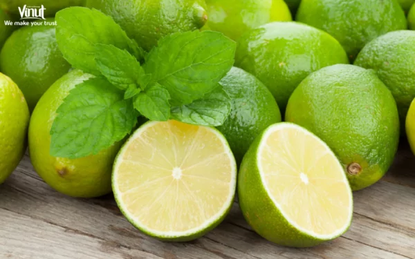 VINUT_ Limes are small, round citrus fruits