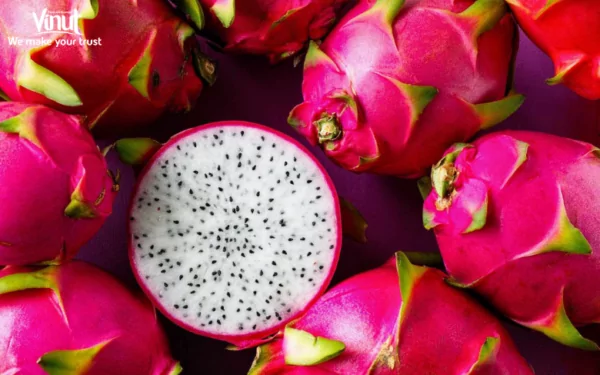 VINUT_Dragon Fruit