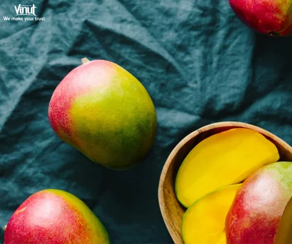 VINUT_Mango
