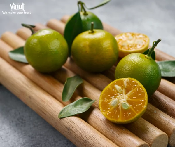 VINUT_Some main characteristics of calamansi