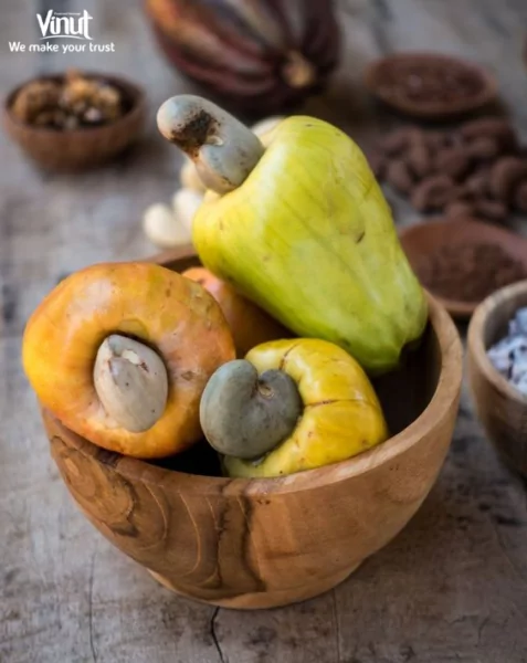 VINUT_Cashew fruit is also rich in minerals and fiber