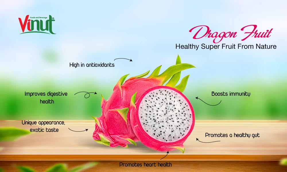 VINUT_Dragon Fruit