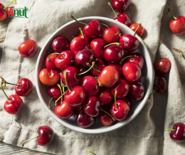 VINUT_One of the notable characteristics of tart cherry juice is its high antioxidant content VINUT_One of the notable characteristics of tart cherry juice is its high antioxidant content