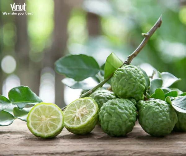 VINUT_Kaffir limes
