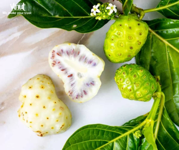 VINUT_Noni Fruit
