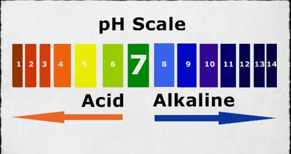 Acidic