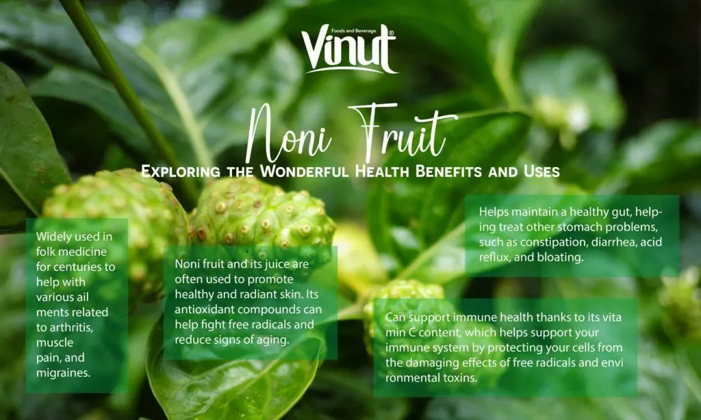 VINUT_Noni Fruit: Exploring the Wonderful Health Benefits and Uses VINUT_Noni Fruit: Exploring the Wonderful Health Benefits and Uses
