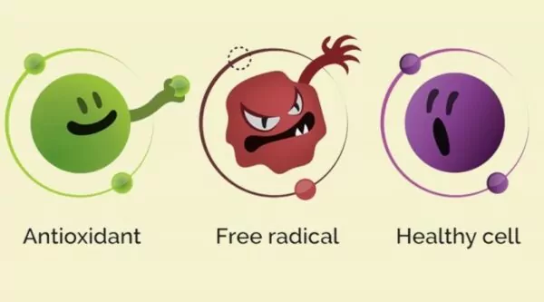 Antioxidant Antioxidant