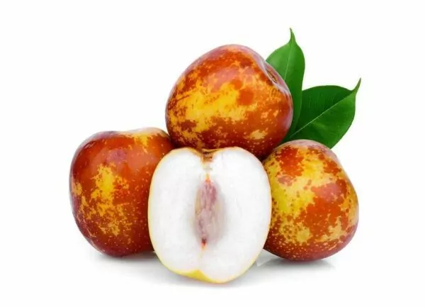 Fresh Jujube Fruit Fresh Jujube Fruit