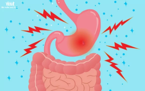 VINUT_Better Digestion and Gut Health