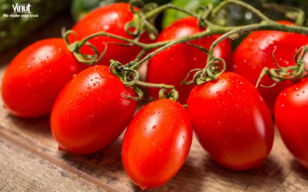 VINUT_Roma Tomato