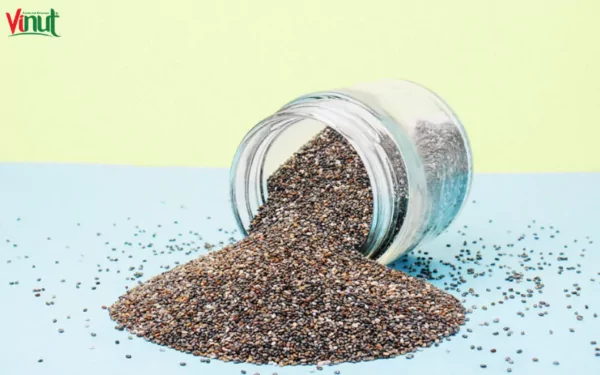 VINUT_How to Store Chia Seeds?