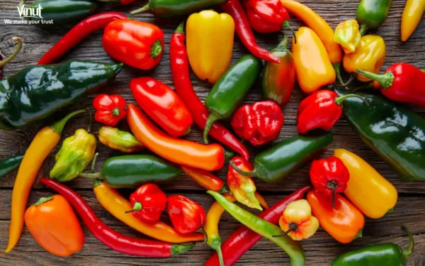 VINUT_Chili Pepper Description