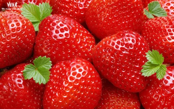 VINUT_Sweet Charlie strawberries VINUT_Sweet Charlie strawberries
