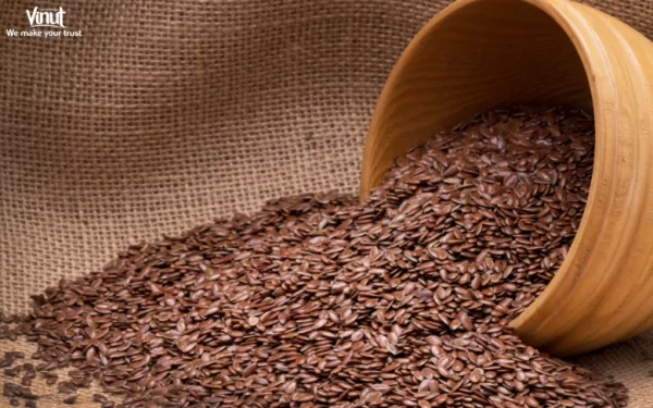 VINUT_What is Flaxseed?
