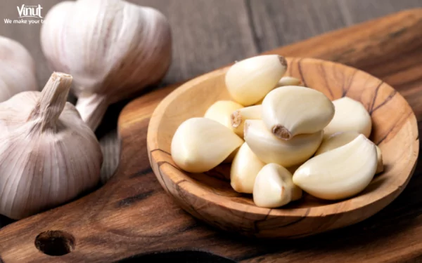 VINUT_Today, garlic is grown worldwide, with China being the largest producer. VINUT_Today, garlic is grown worldwide, with China being the largest producer.