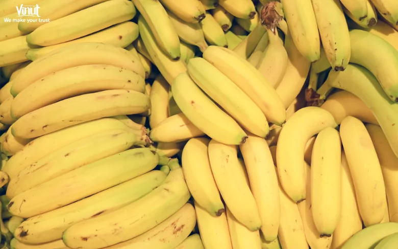 Top 10 Popular Fruits Around The World 3 VINUT_Cavendish Bananas