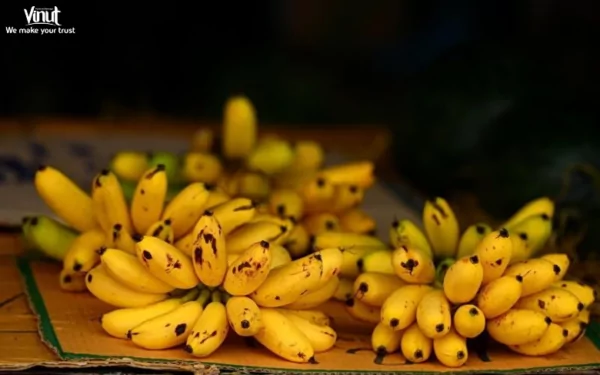 VINUT_Banana VINUT_Banana