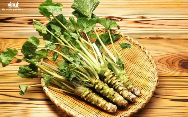VINUT_A Bite of Wasabi's History