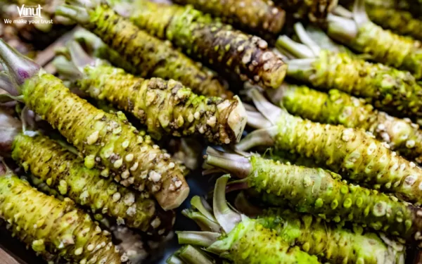 VINUT_What is Wasabi?