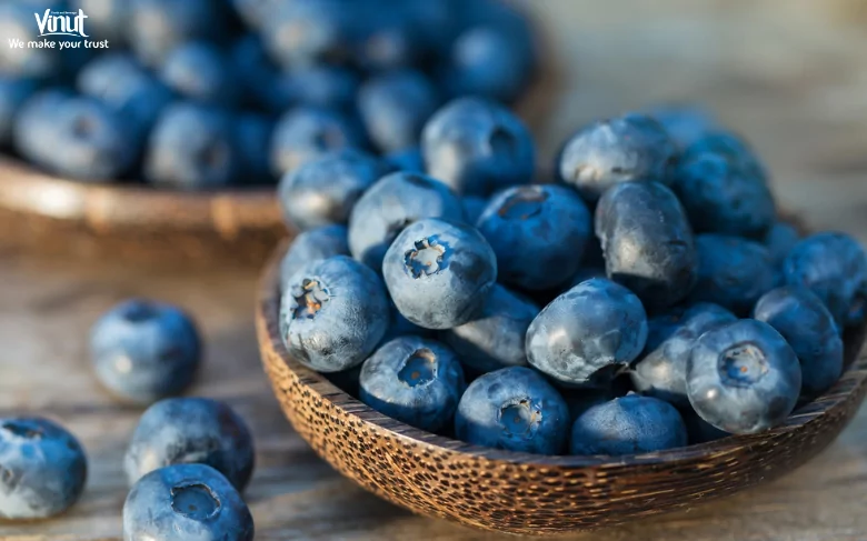 Blueberries: Brief History, Varieties, Nutritional Value, and 4 Fun Facts 2 VINUT_A Brief History