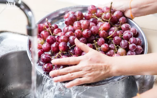 VINUT_ Washing and Prepare the Grapes