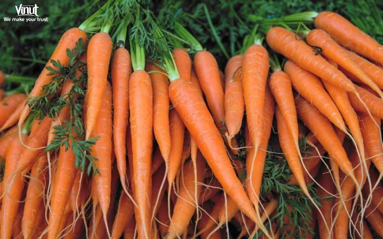 Carrot Juice: Exploring The Healthy Beverage 2 VINUT_CUnveiling the Nutritional Treasure Trove