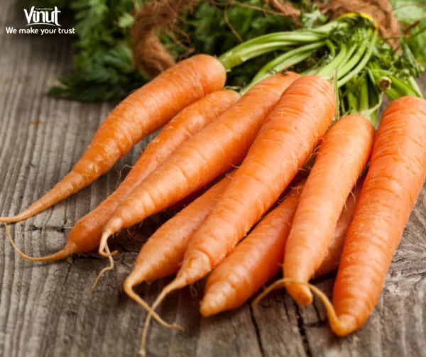 VINUT_Carrots have become an integral part of various cuisines around the world VINUT_Carrots have become an integral part of various cuisines around the world