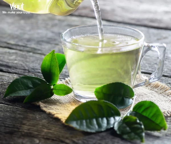VINUT_Green tea has long been renowned for its many health benefits, and its immune-boosting properties