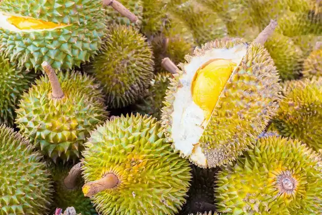 2023 Discovering the Uniqueness of Strange and Exotic Fruits in Vietnam 2023 Discovering the Uniqueness of Strange and Exotic Fruits in Vietnam