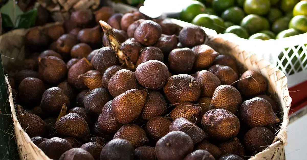 2023 Discovering the Uniqueness of Strange and Exotic Fruits in Vietnam 2023 Discovering the Uniqueness of Strange and Exotic Fruits in Vietnam