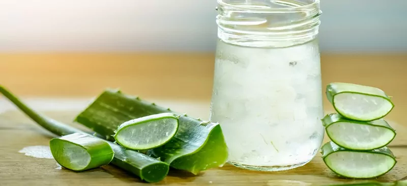 2023 The Power of Natural Aloe Vera Juice 2023 The Power of Natural Aloe Vera Juice