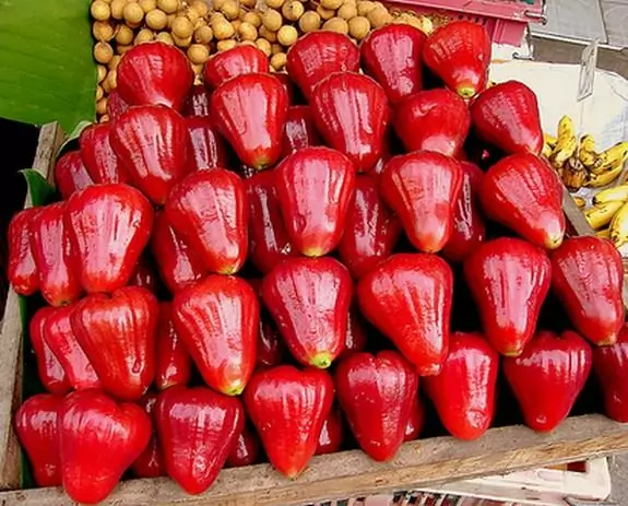 2023 Top 18 Most Famous Specialty Fruits in Vietnam