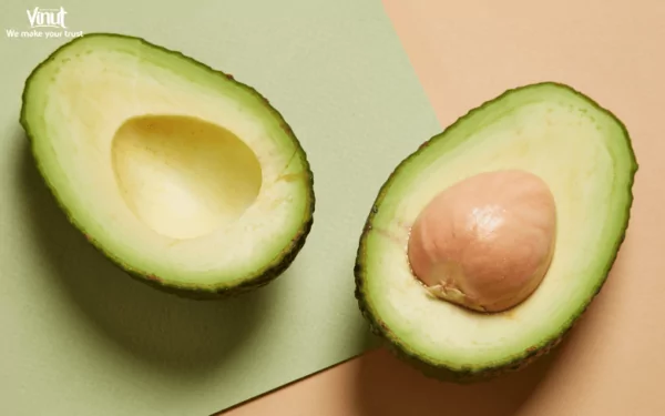 VINUT_Avocado