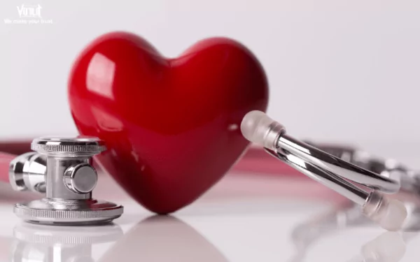 VINUT_ Boosting Cardiovascular Health