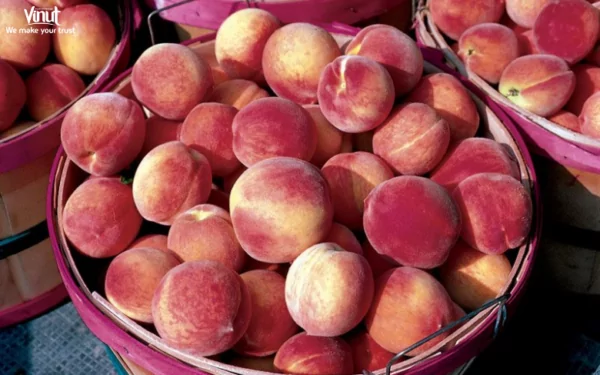 VINUT_Georgia Belle Peaches