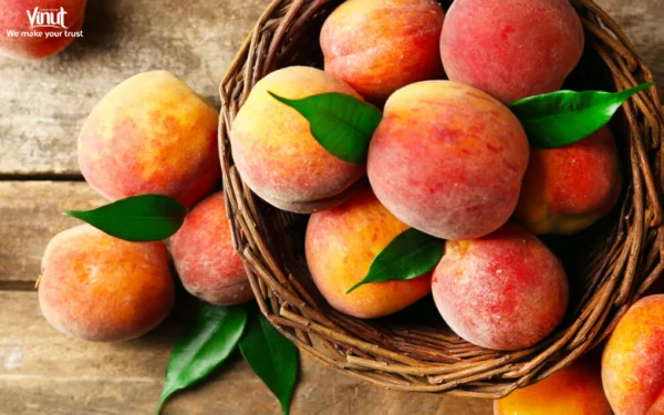 VINUT_Nutritional Benefits of Peaches