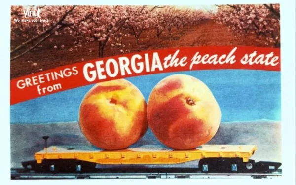 VINUT_Georgia is known as the “Peach State”