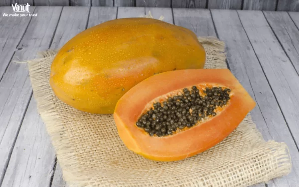 VINUT_Maradol Papaya