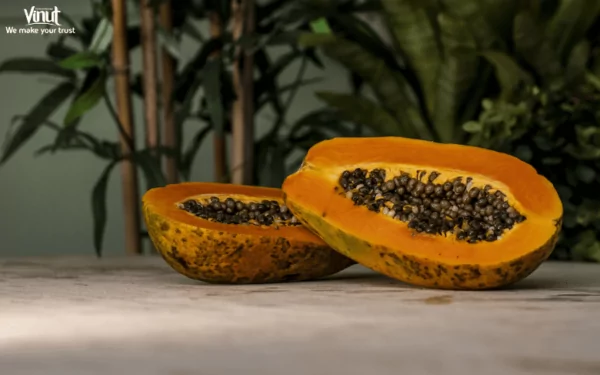 VINUT_Selecting and Ripening Papaya