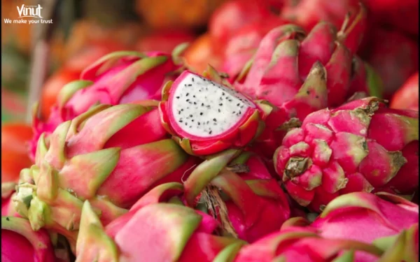 VINUT_Dragon Fruit VINUT_Dragon Fruit