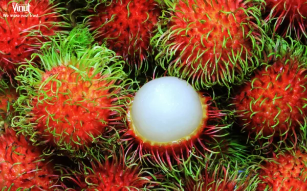 VINUT_Rambutan VINUT_Rambutan