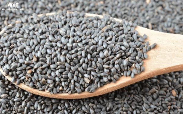 VINUT_Basil seeds, scientifically known as Ocimum basilicum, are small black seeds derived from the basil plant