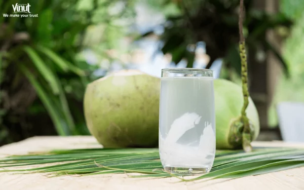 VINUT_Coconut Water VINUT_Coconut Water